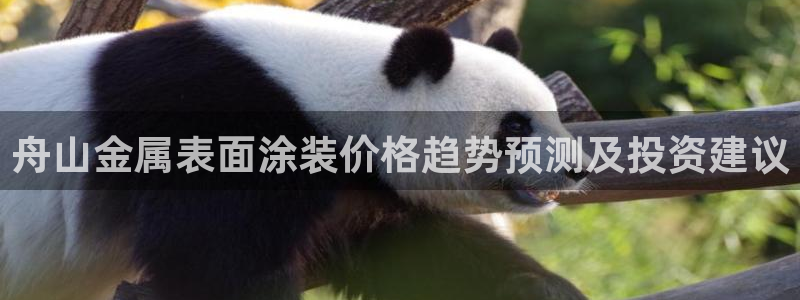 美高梅现在由谁在经营