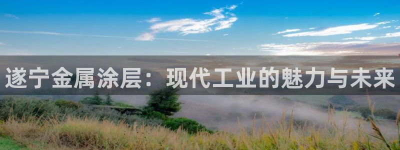 美高梅领奶茶：遂宁金属涂层：现代工业的魅