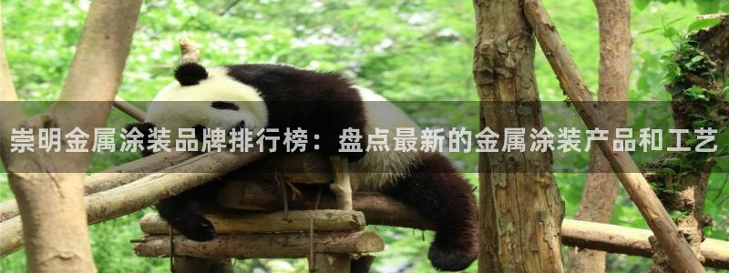 美狮美高梅酒店里面有什么好吃的：崇明金属